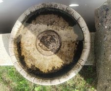 Bird bath