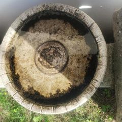 Bird bath