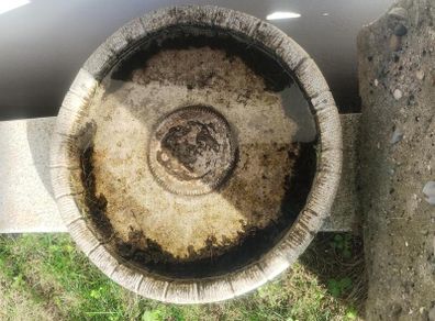 Bird bath