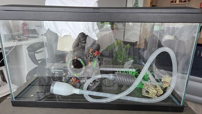 Fish tank 54 litres