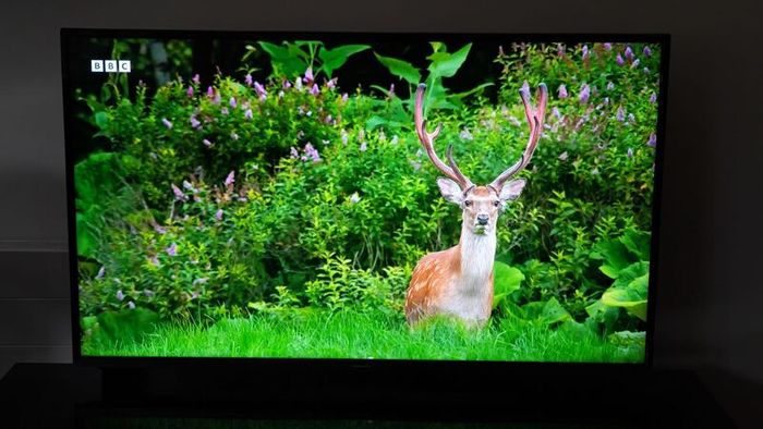 50" Panasonic 4K Smart TV