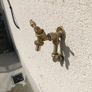 Outside Garden Tap Kitchen sink taps,also fitted. Image 2