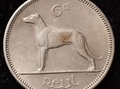Ireland - 1960 - 6 Pence - Wolfhound - KM.13a - [158]