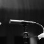 Neumann KM183 ST Microphones (Matched Pair) Image 8