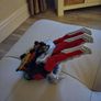 toys Image 4