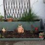 Shallow planters x2 Image 3