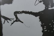 Twilight Singers Dynamite steps vinyl lp