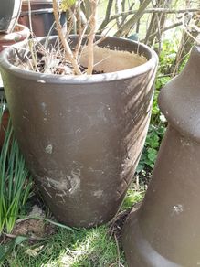 large earthenware pot
