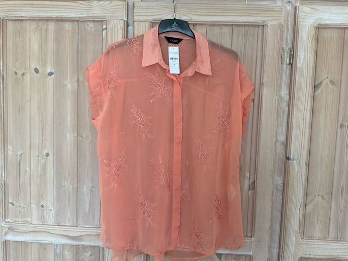 ladys blouse