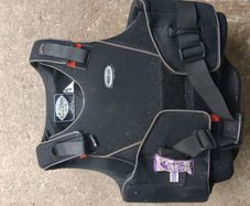 back protector
