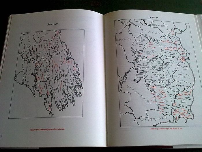 Irish Families Their names arms & origins Ireland Genealogy History