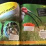Free - endangered animals Image 2