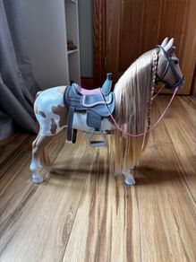 Our Generation Horses!