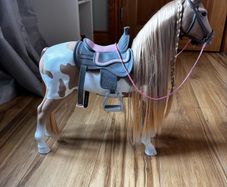Our Generation Horses!