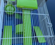 Hamster Cage