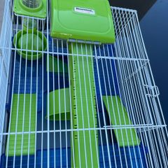 Hamster Cage
