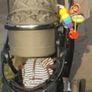 Icandy buggy Image 5