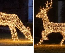 Affordable 2 in 1Large Rattan Stag And Doe Reindeer Indoor & Outdoor For Christmas Light Figure