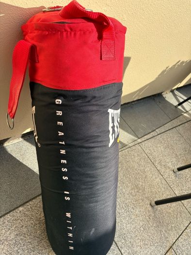 Everlast punching bag