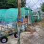 Dog Run Image 4