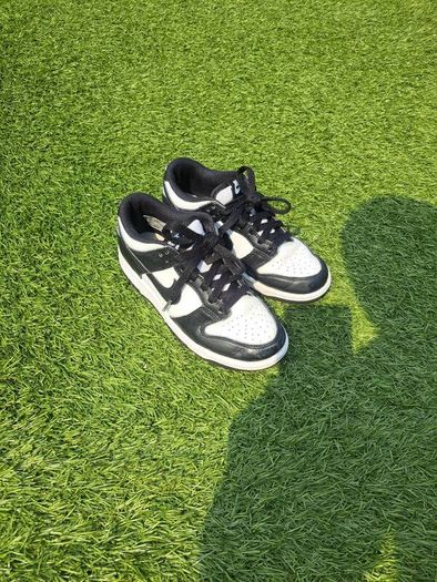 Nike panda dunk uk3