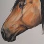 Watercolour pet portraits Image 5
