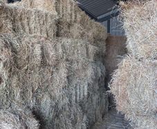 Hay - Small Square Bales