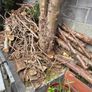 Fire wood Image 3