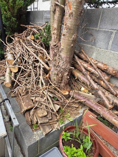 Fire wood