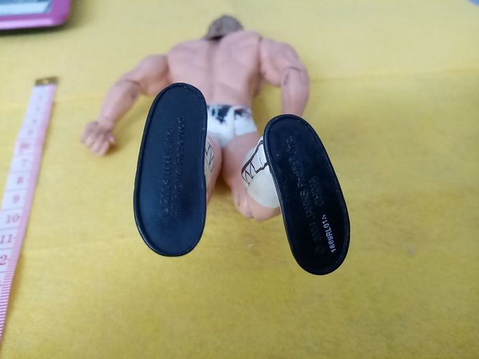 Wrestlers WWE action Figure