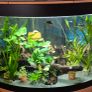 Aquarium Image 2