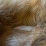 Red Herring Fur Collar Coat Image 4