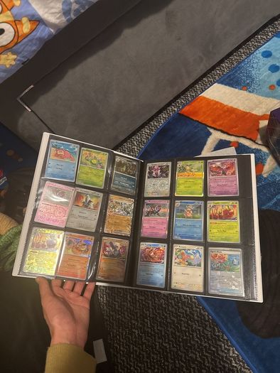 pokemon cards and book and sleeves and game thing