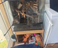 Crested Gecko Enclosure & Storage Stand