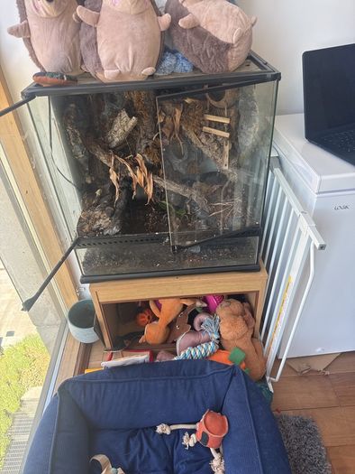 Crested Gecko Enclosure & Storage Stand