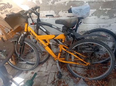 bikes for sale