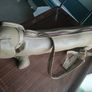 Rare "Dachshund" Hip Bag Image 7