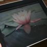 Apple iPad 1st Gen (A1219) 9.7" 32GB Image 3