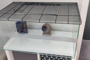 Large glass cage for gerbils, mouse/ mice, rats or other rodents