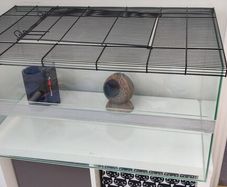 Large glass cage for gerbils, mouse/ mice, rats or other rodents