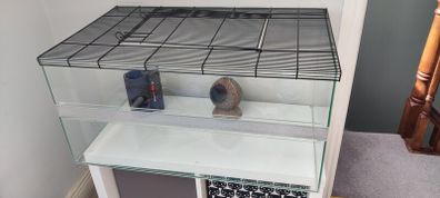 Large glass cage for gerbils, mouse/ mice, rats or other rodents