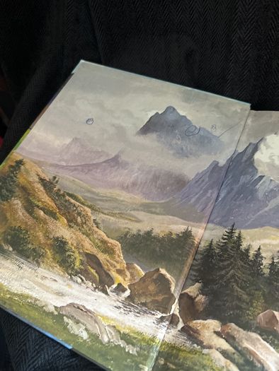 Heidi kids book