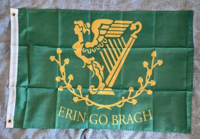 Erin go bragh flag.