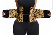 Fitness Belts-KCL