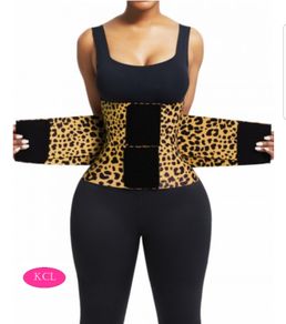 Fitness Belts-KCL