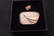 Gaisce , The Presidents Award Medal and Lapel Pin Badge