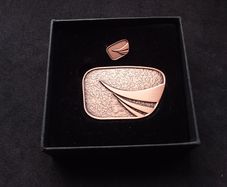 Gaisce , The Presidents Award Medal and Lapel Pin Badge