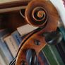 15 inch Viola Image 2