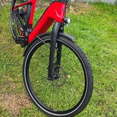 Simplon Chenoa 2024 - Premium E-Bike with Rohloff & Gates Belt Drive