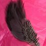 Vintage Style   Feather Hair Clip with Diamante Leaf Spine Image 8